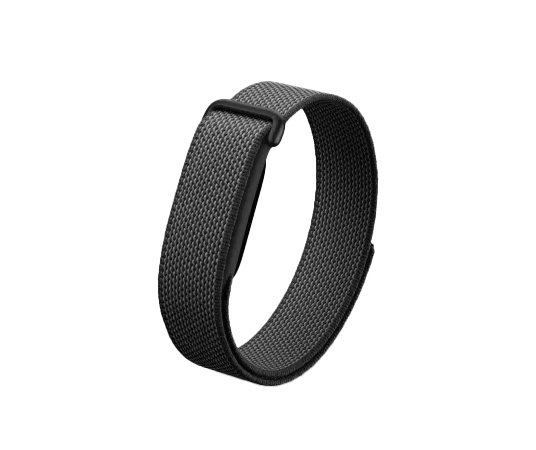 Google Fitbit Air
